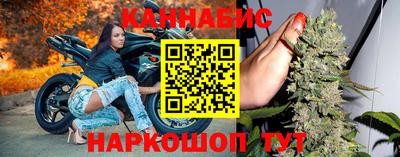 индика Заводоуковск