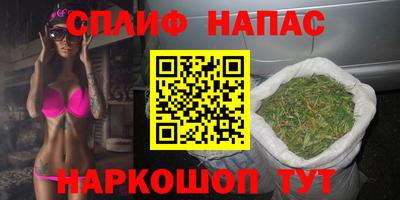 индика Заводоуковск