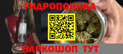 индика Заводоуковск