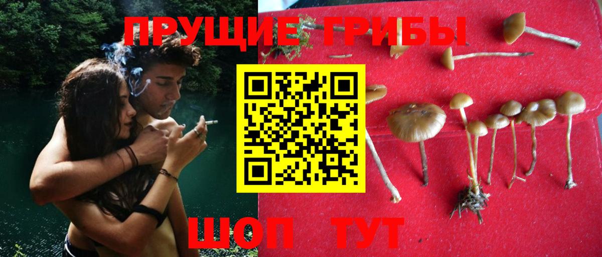 Псилоцибиновые грибы мухоморы  Вход с VPN  Кумертау 